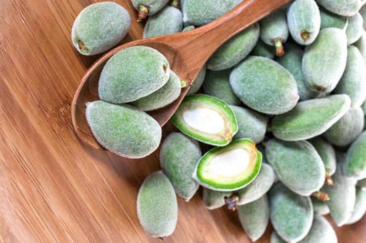 مهم ترین خواص چغاله بادام چیست؟